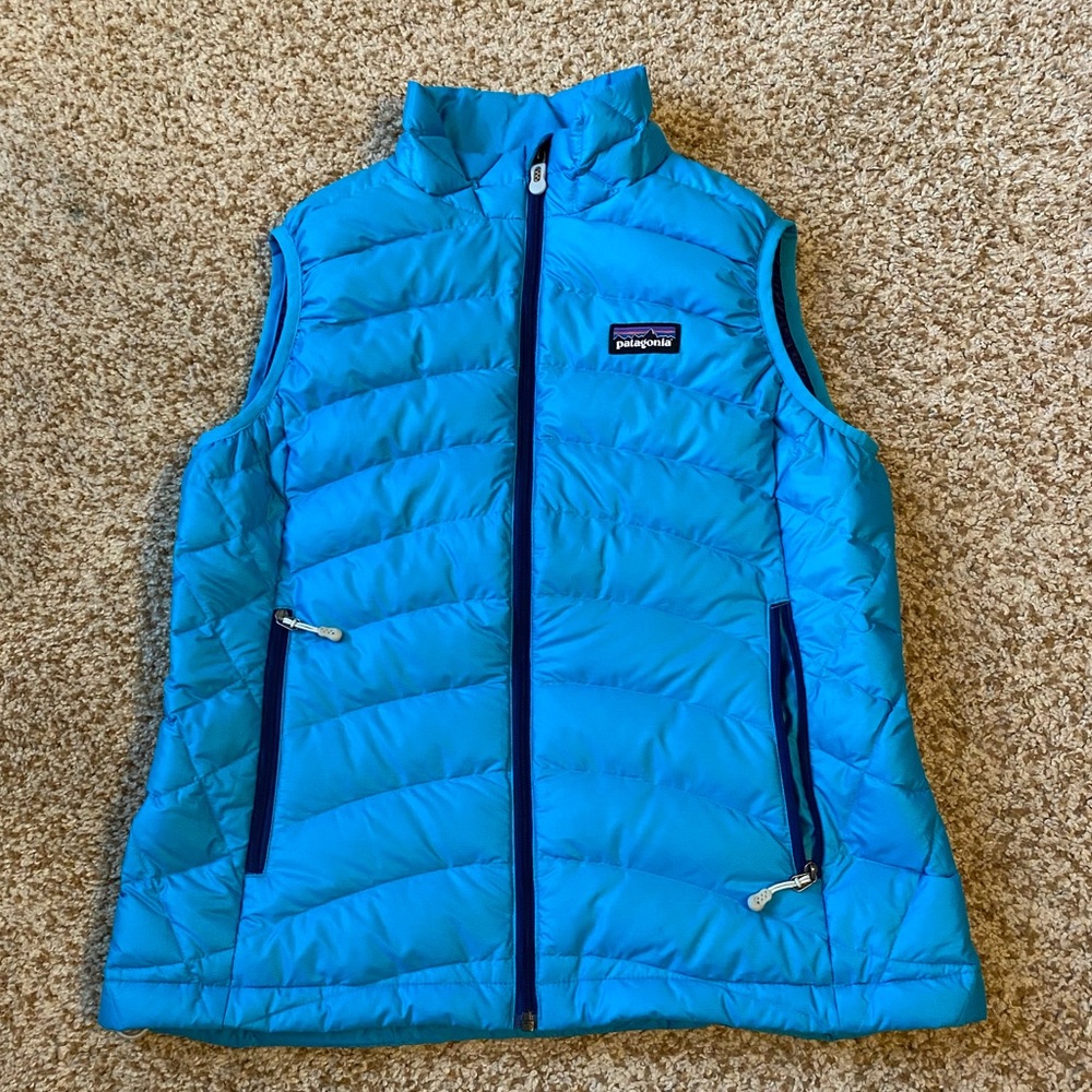Blue Patagonia vest